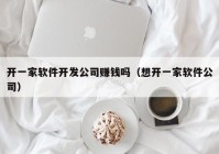 开一家软件开发公司赚钱吗（想开一家软件公司）