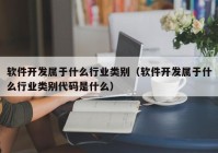 软件开发属于什么行业类别（软件开发属于什么行业类别代码是什么）